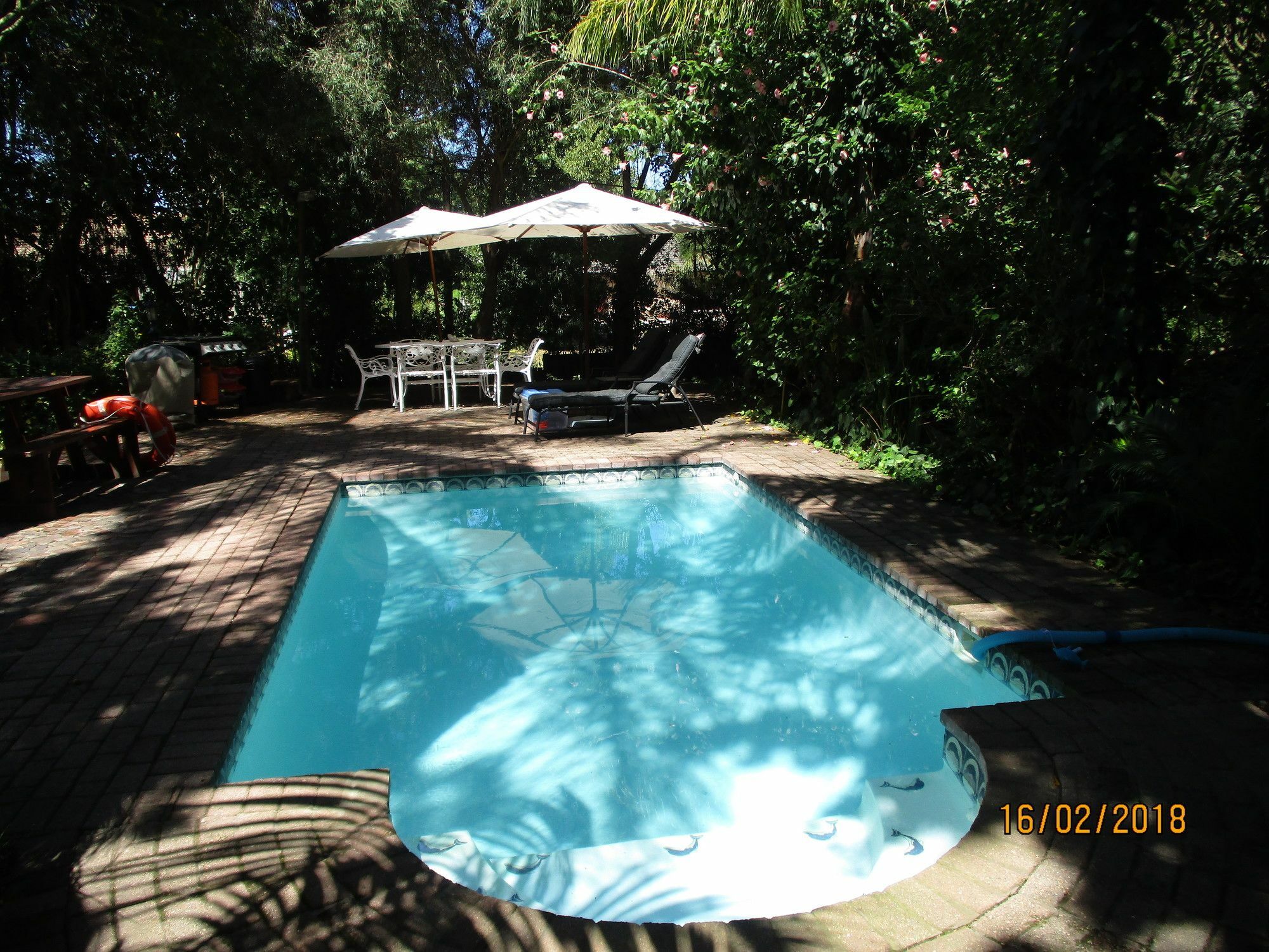Knysna Herons Guest House エクステリア 写真